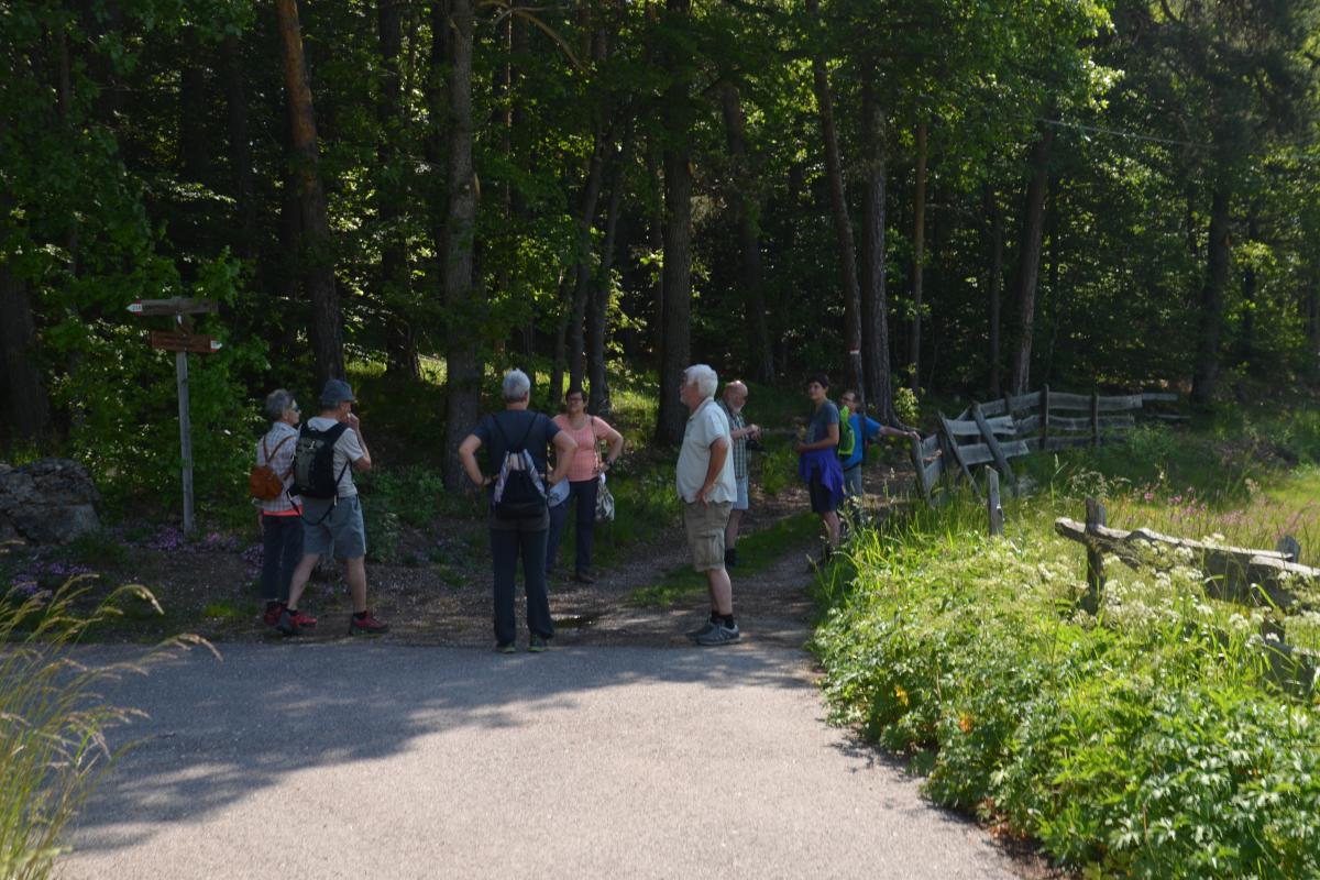 Rielingerhof 06.06.2019